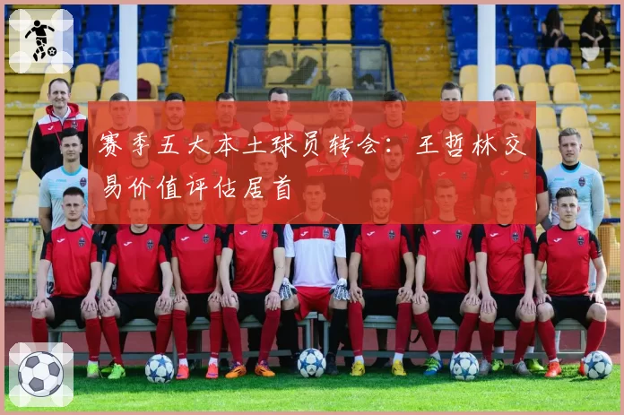 赛季五大本土球员转会：王哲林交易价值评估居首