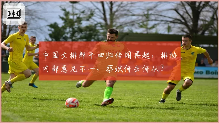 中国女排郎平回归传闻再起，排协内部意见不一，蔡斌何去何从？