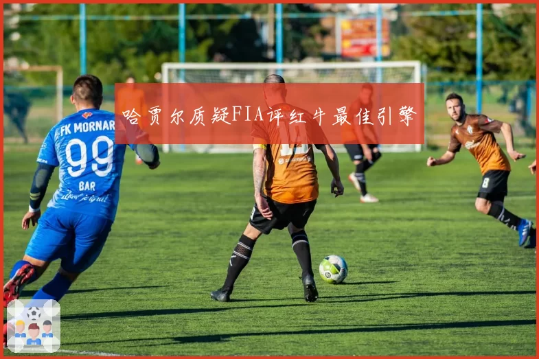 哈贾尔质疑FIA评红牛最佳引擎