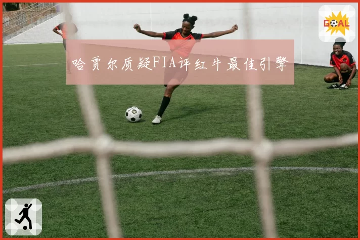 哈贾尔质疑FIA评红牛最佳引擎