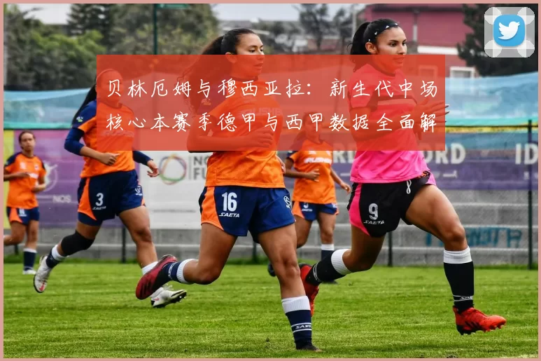 贝林厄姆与穆西亚拉：新生代中场核心本赛季德甲与西甲数据全面解析